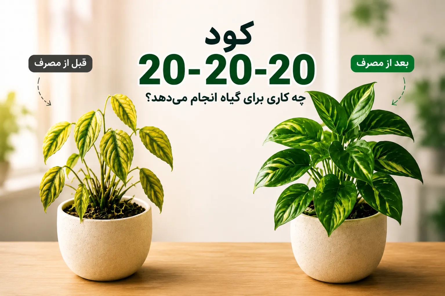 کود 20-20-20 برای گیاهان آپارتمانی و نقش عناصر نیتروژن فسفر و پتاسیم در رشد گیاه