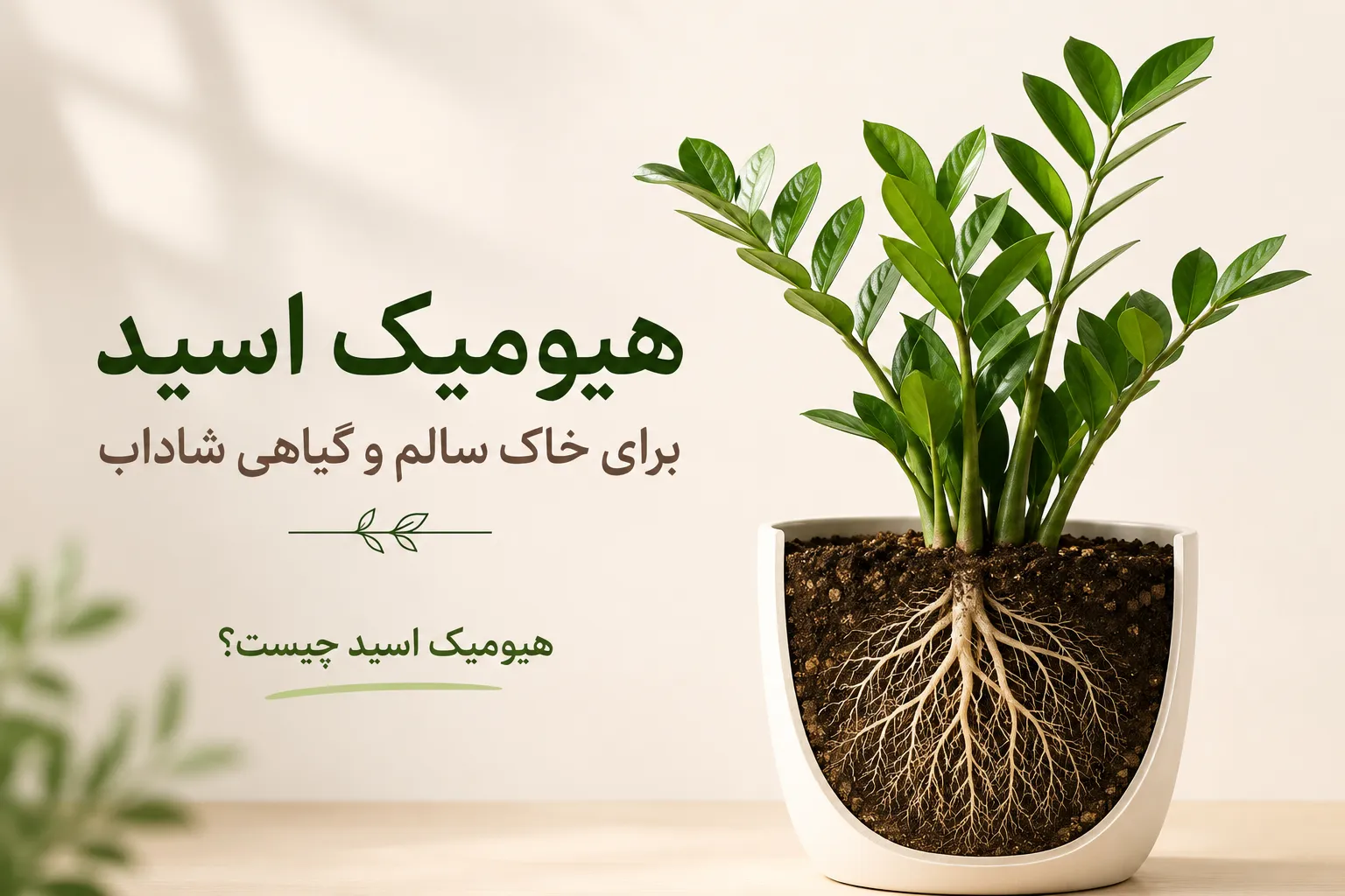 تصویر گیاه آپارتمانی سالم با ریشه‌های قوی در خاک غنی، نماد تأثیر هیومیک اسید بر بهبود خاک و رشد بهتر گیاه