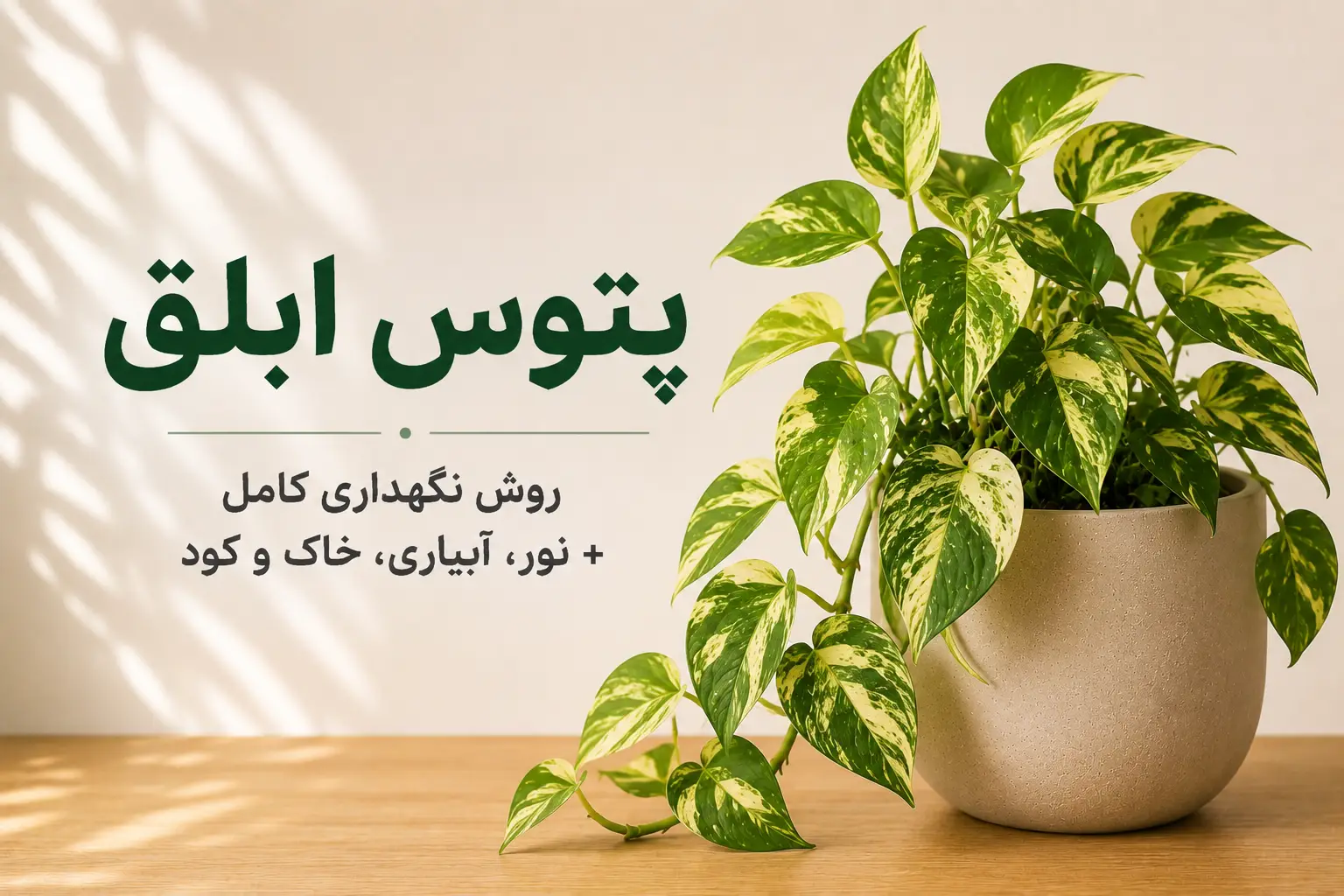 تصویر شاخص مقاله نگهداری پتوس ابلق شامل گیاه پتوس ابلق در گلدان با عنوان روش نگهداری کامل، نور، آبیاری، خاک و کود