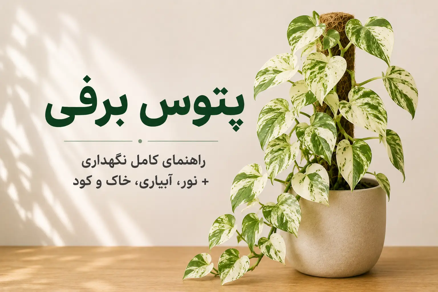 تصویر شاخص مقاله نگهداری پتوس برفی شامل گیاه پتوس برفی در گلدان با عنوان راهنمای کامل نگهداری، نور، آبیاری، خاک و کود