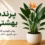 گیاه پرنده بهشتی (استرلیتزیا) در گلدان سفید؛ راهنمای کامل نگهداری شامل نور، آبیاری، خاک، کوددهی، رطوبت و شرایط گلدهی