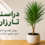 گیاه دراسنا تارزان با برگ‌های کشیده و سبز در گلدان سفید؛ راهنمای کامل نگهداری، نور، آبیاری، خاک و کود