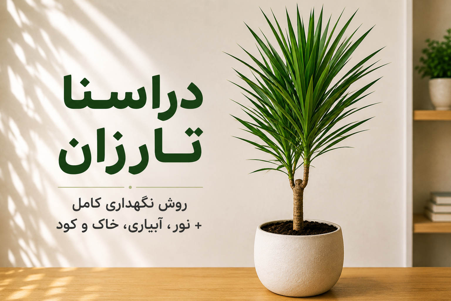 گیاه دراسنا تارزان با برگ‌های کشیده و سبز در گلدان سفید؛ راهنمای کامل نگهداری، نور، آبیاری، خاک و کود