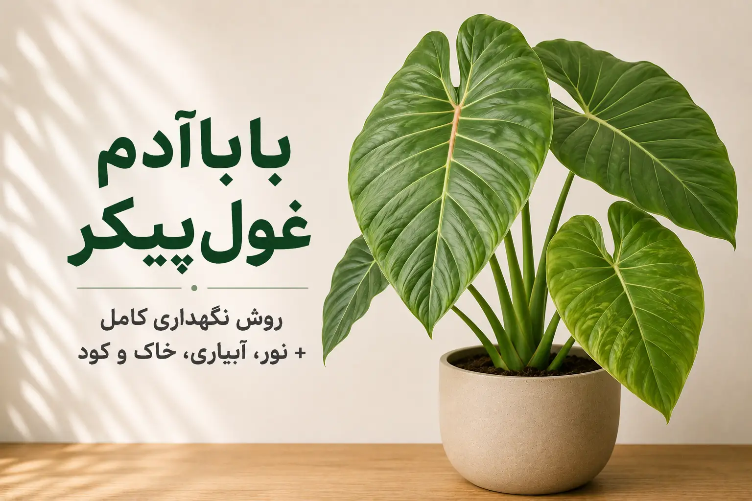 تصویر شاخص گیاه باباآدم غول‌پیکر با برگ‌های بزرگ سبز در گلدان به همراه عنوان راهنمای کامل نگهداری، نور، آبیاری، خاک و کود
