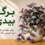 برگ بیدی و روش نگهداری آن؛ نور، آبیاری، خاک و کود
