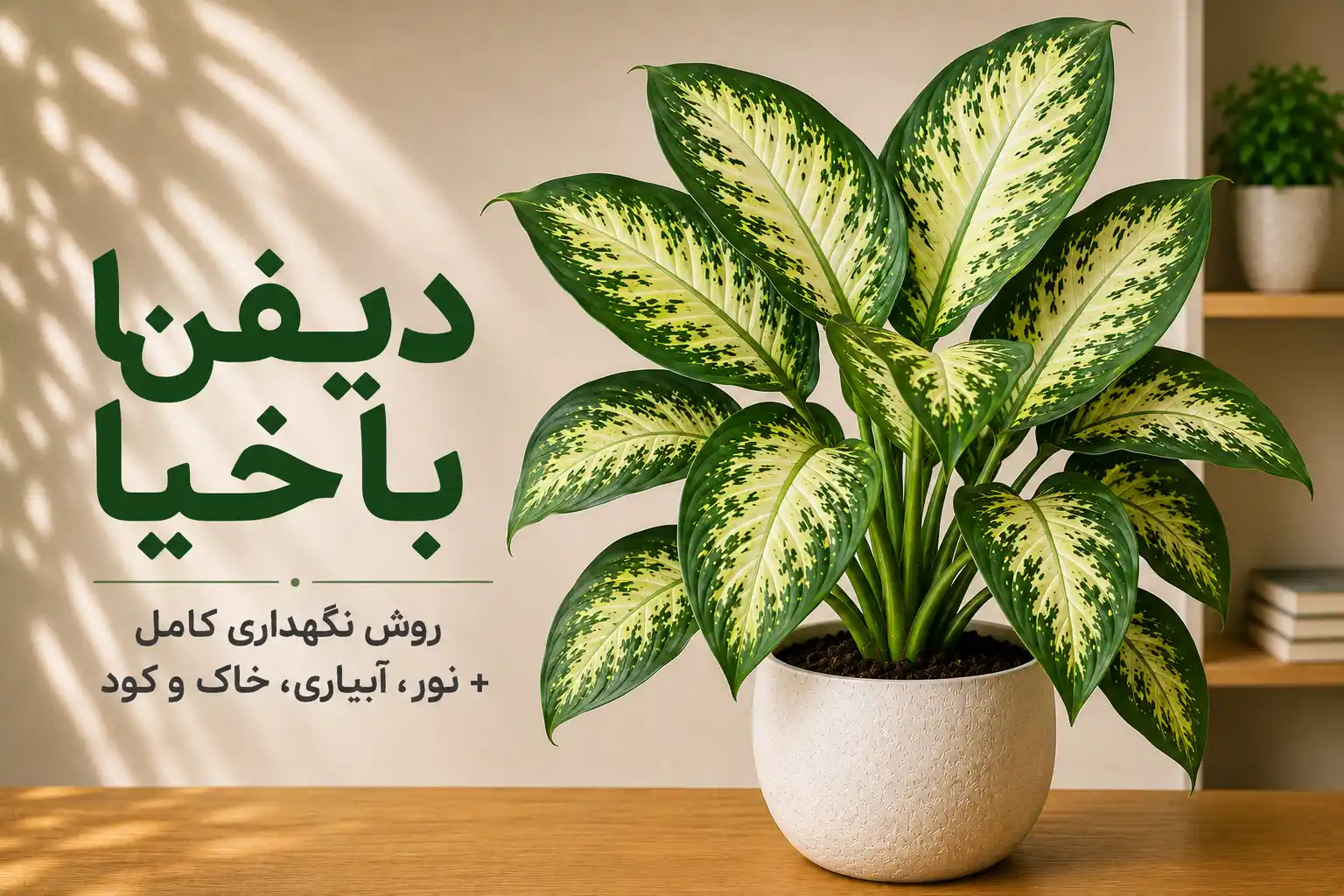 تصویر دیفن باخیا؛ گیاه آپارتمانی با برگ‌های سبز و کرم و روش نگهداری آن