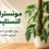 مونسترا تای کنستلیشن ابلق روی قیم خزه‌ای در فضای داخلی